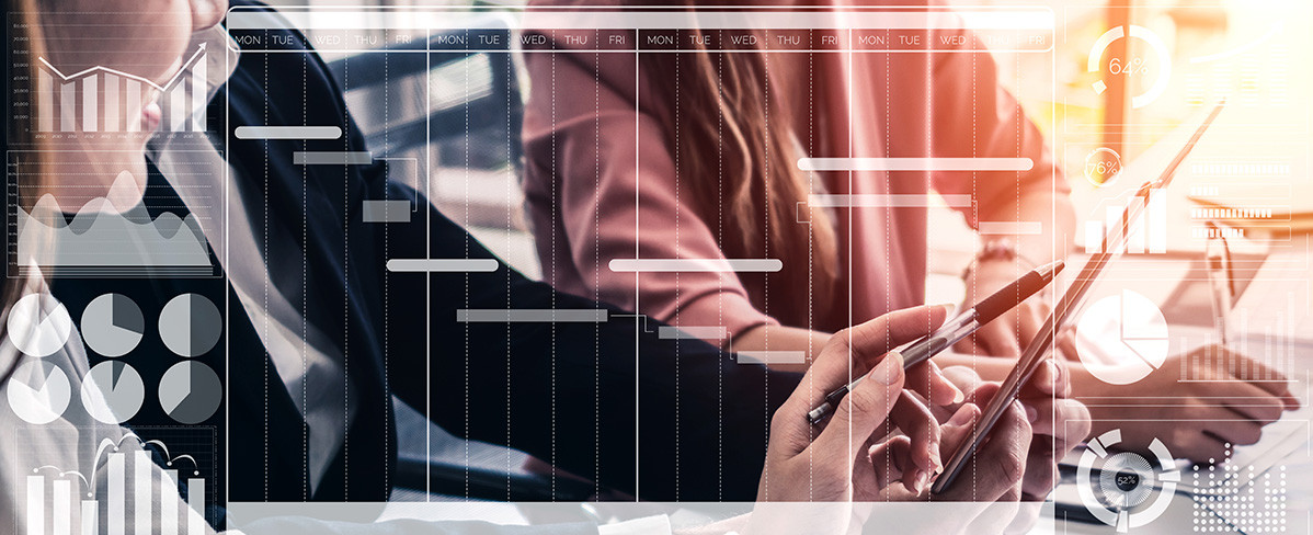 MN7206NU - The Digital Transformation Process &amp; Project Management