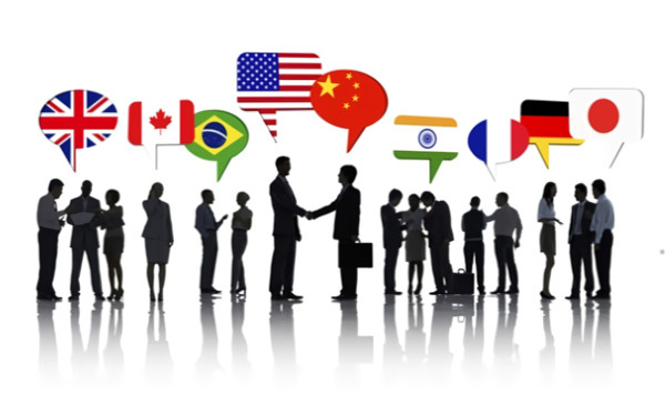 HR6055NU - Organising and Managing Across Cultures 
